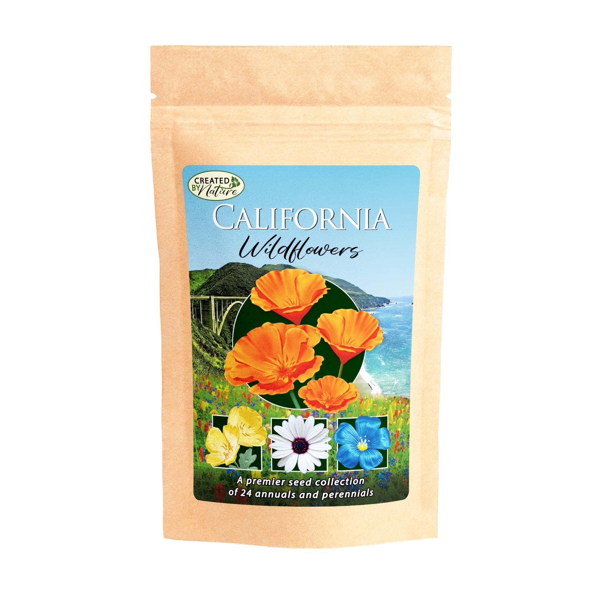 Bulk Wildflower Seed Mixes - Annual and Perennial