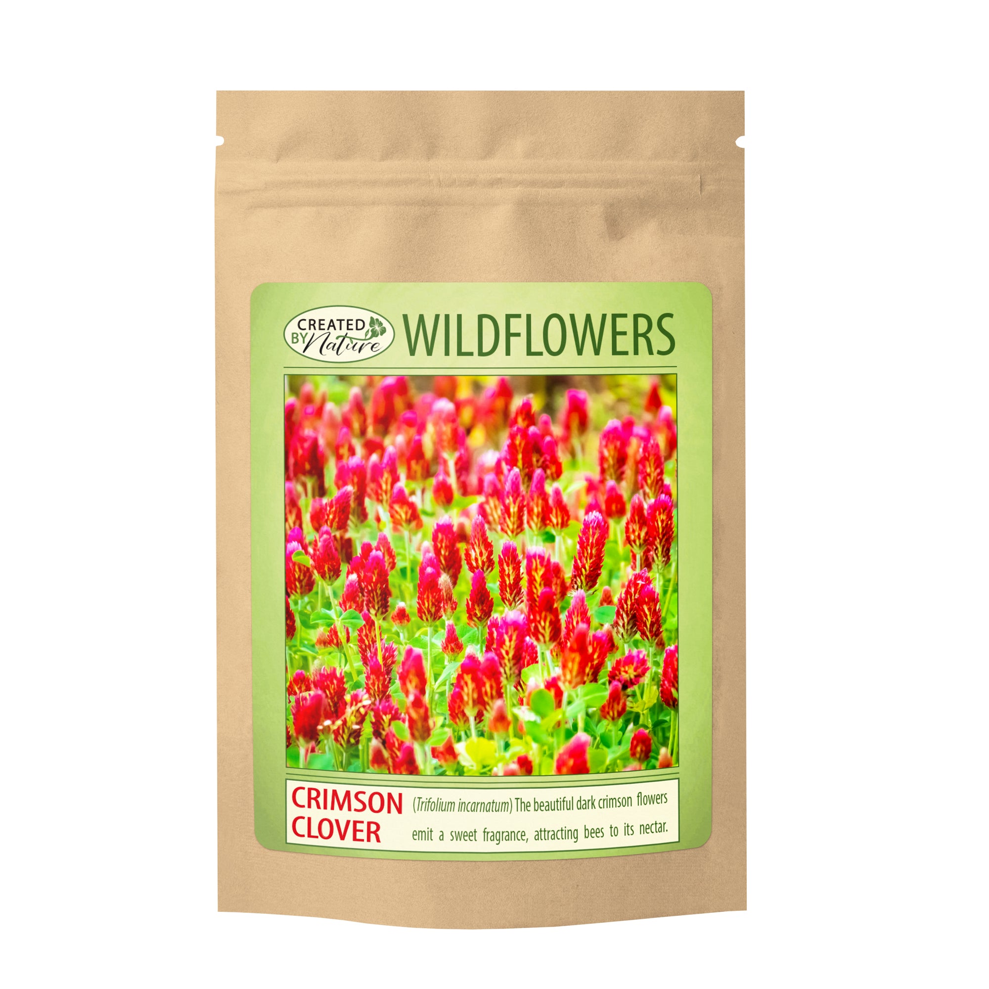 Best 13 Crimson Clover Seeds, Trifolium incarnatum | American Meadows Best 13 Crimson Clover Seeds, Trifolium incarnatum | American Meadows