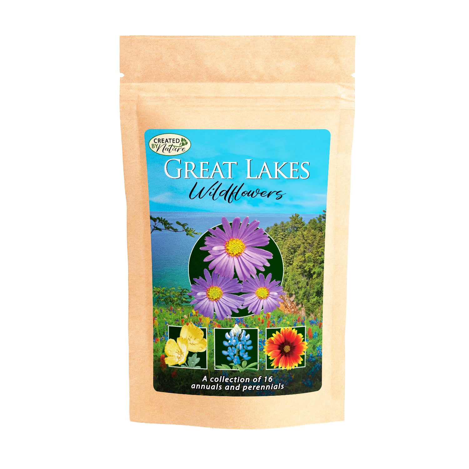 Great Lakes Wildflower Seed Mix