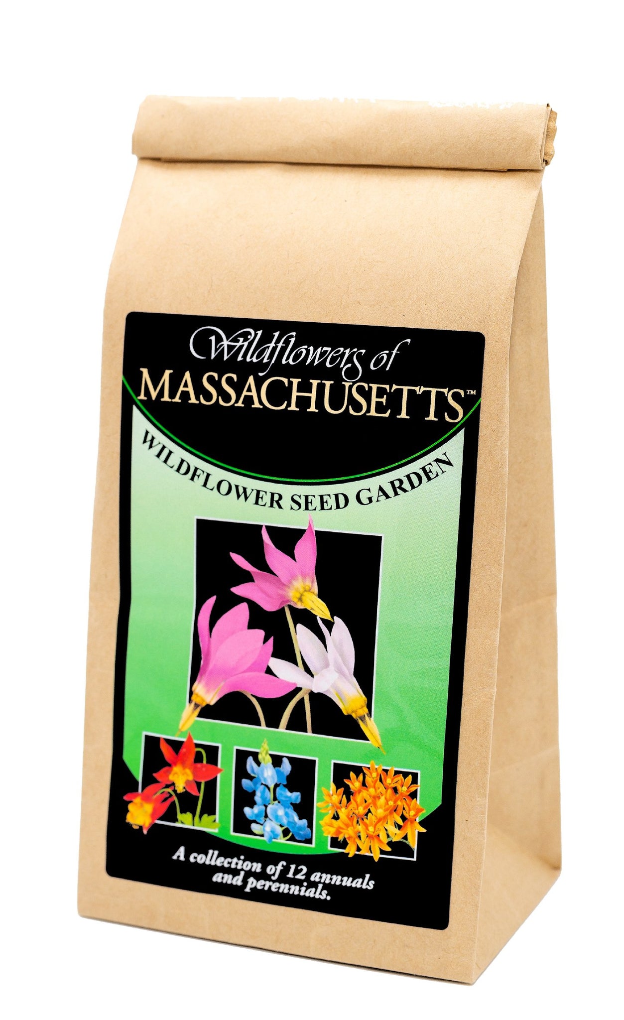 Massachusetts wildflower seed mix