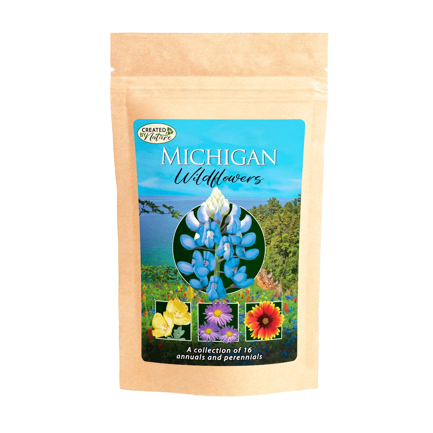 Michigan Wildflower Seed Mix