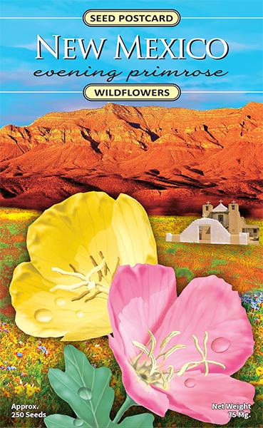 New Mexico Evening Primrose Seed Packet