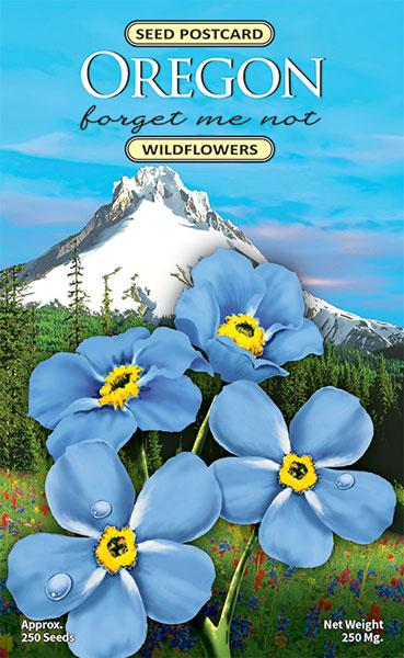 Oregon Forget-Me-Not Seed Packet