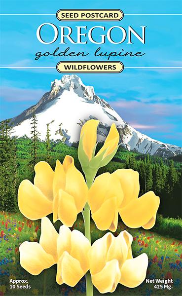 Oregon Golden Lupine Seed Packet