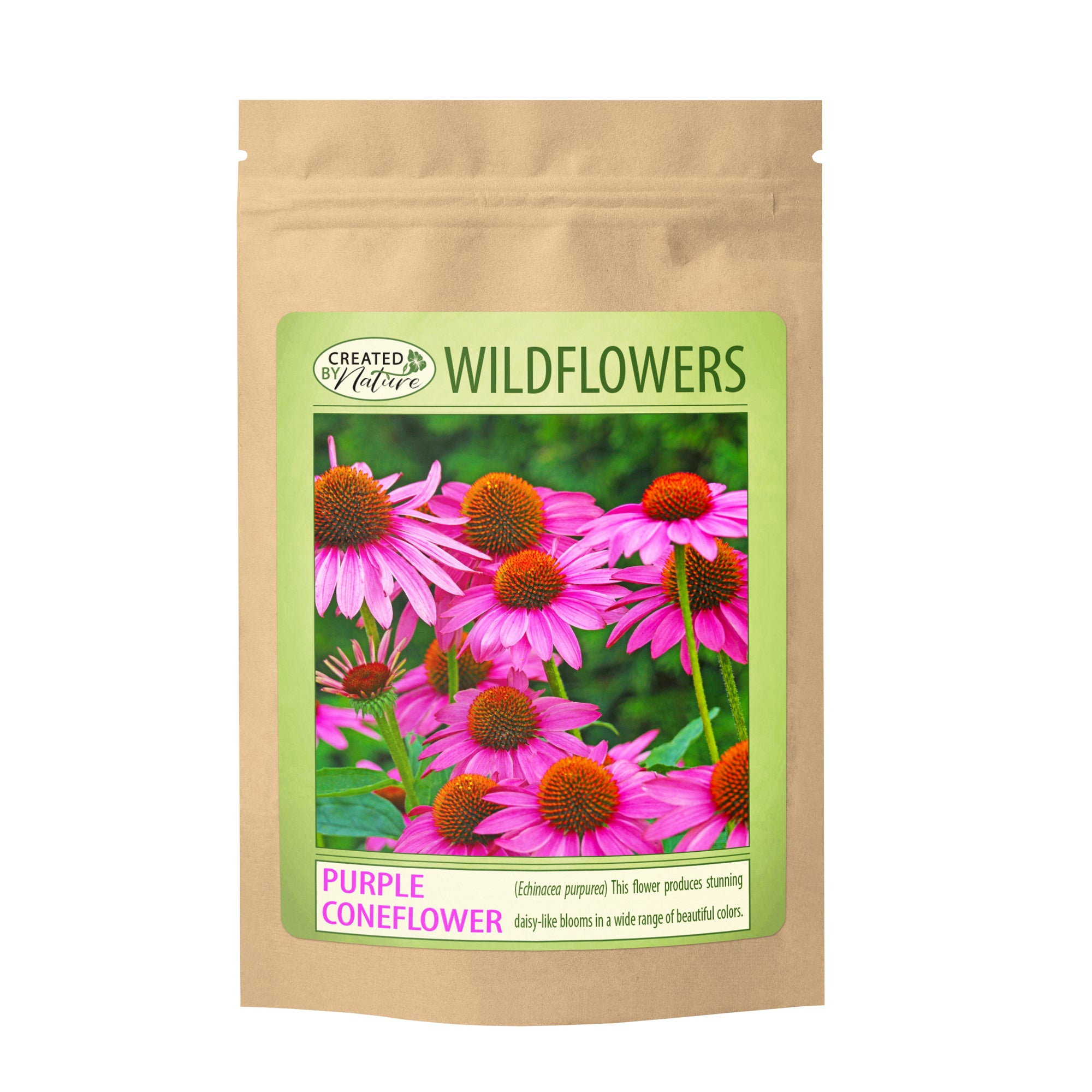 purple coneflower seeds- echinacea purpurea seeds