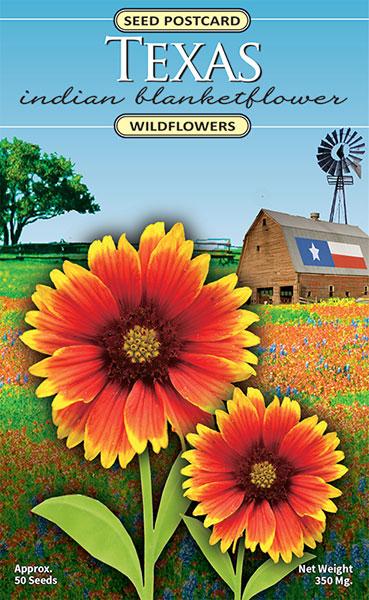 Texas Indian Blanketflower Seed Packet