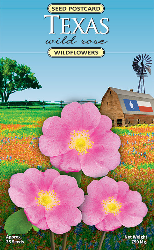 Texas Wild Rose seed packet