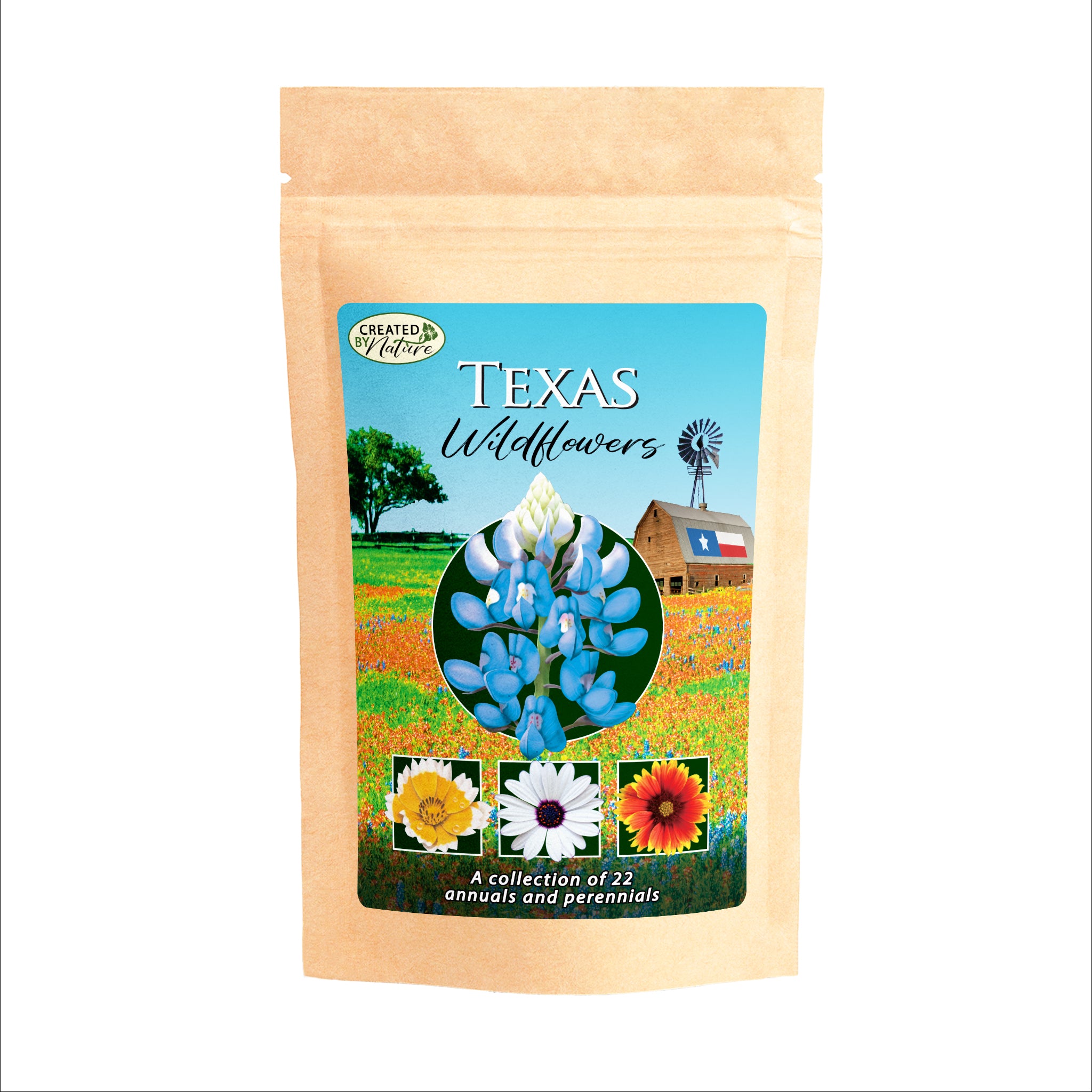 Texas Wildflower Seed mix