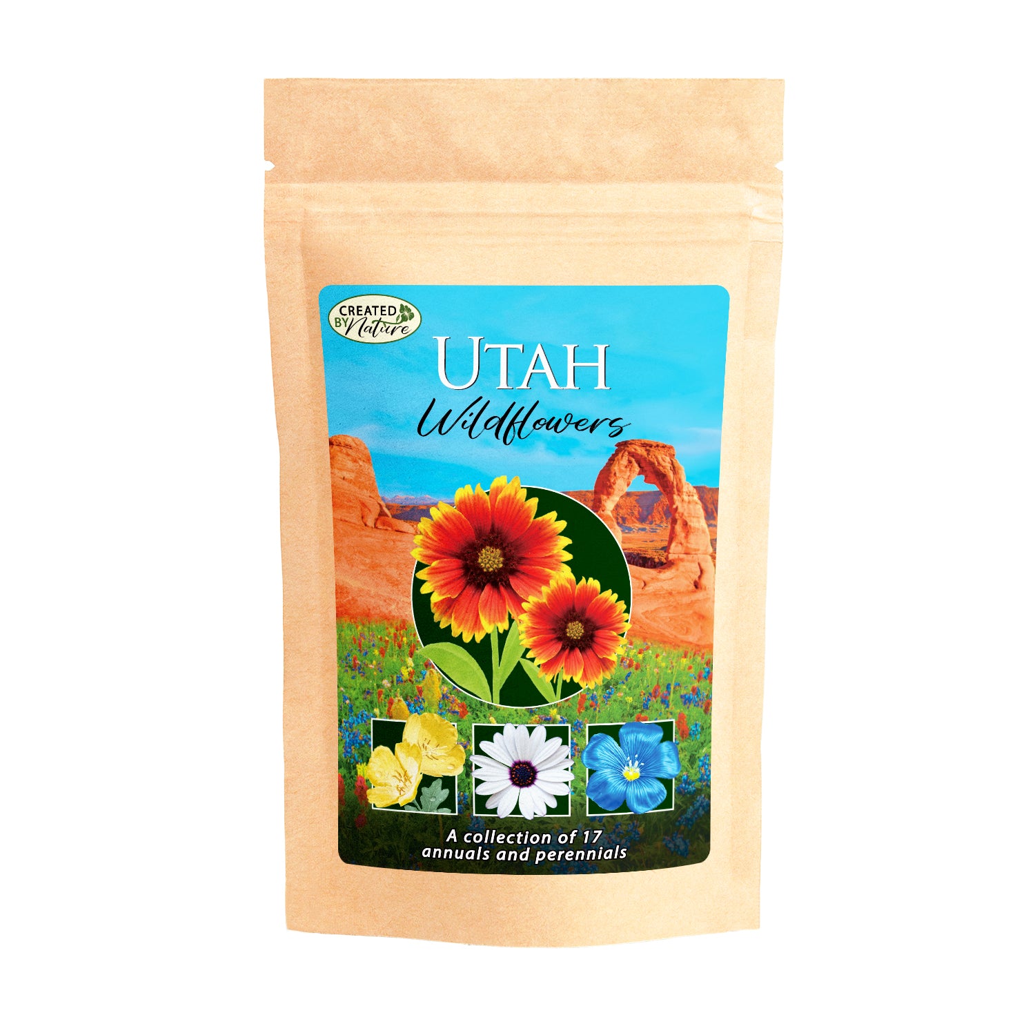 Set of 50 Flower Seed Packets! Flower Seeds in Bulk (50, Wildflower Mixture)