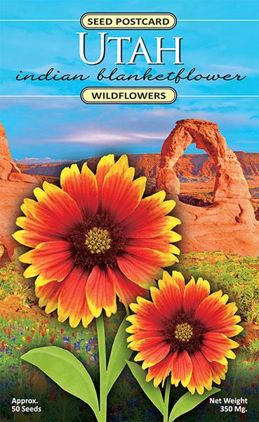 Utah Indian Blanketflower Seed Packet