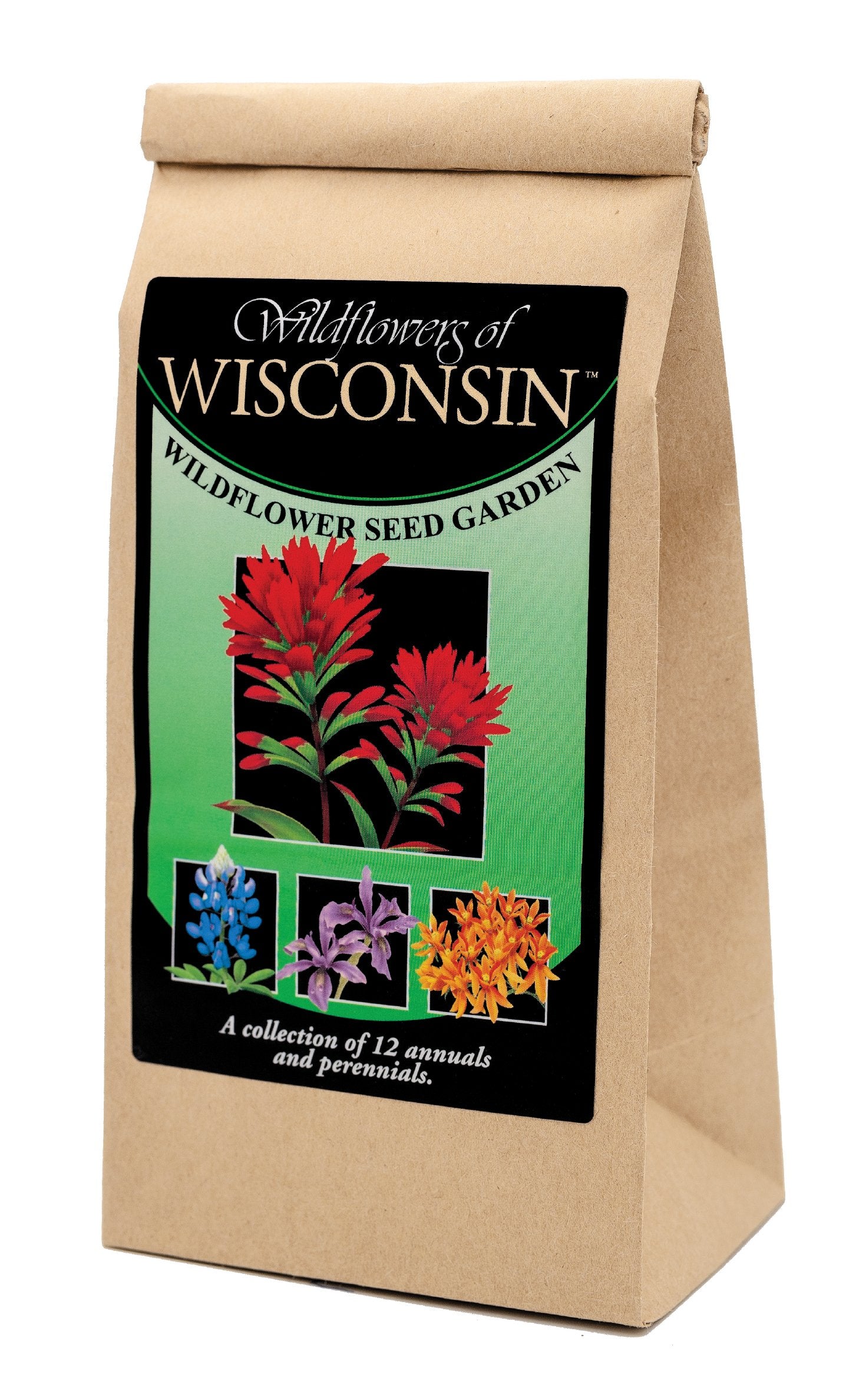 Wisconsin Wildflower Seed Mix Created By Nature